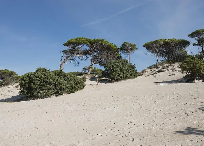 Apartahotel Oasis 3*