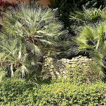 Oasis