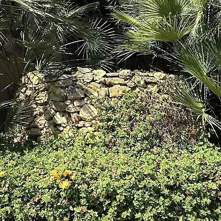 Oasis
