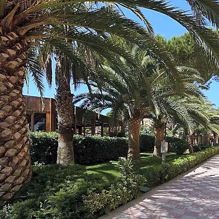 Oasis Alghero