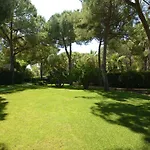 Oasis 3* 알게로