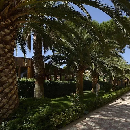 Oasis 3*