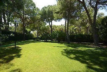 Oasis אלגהרו