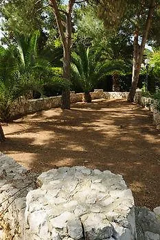 מלון דירות Oasis