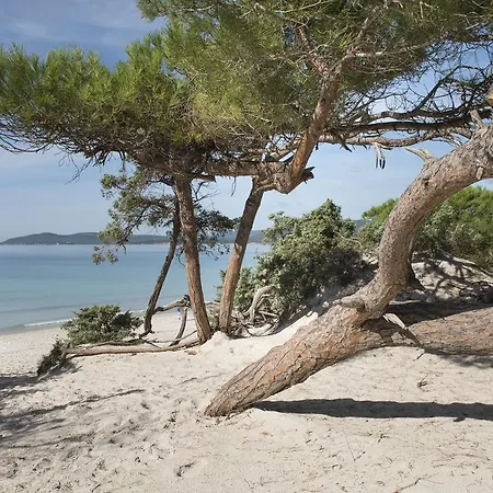 Oasis Alghero