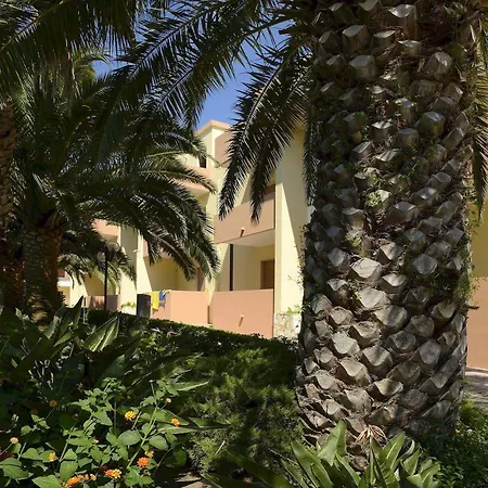 Oasis אלגהרו
